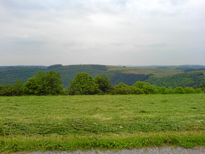 Bettenfeld