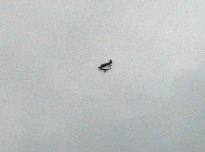 28.05.2007 Seglerschlepp mit Knuffel