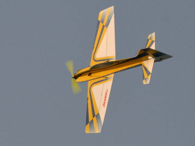 Silvesterfliegen 2008