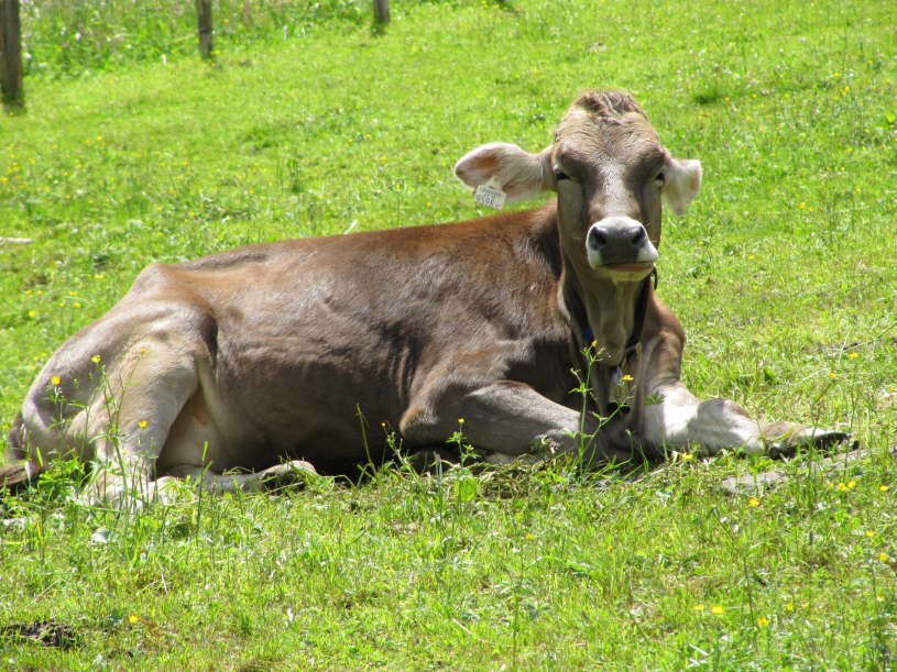 Stummerberg_2011_0117